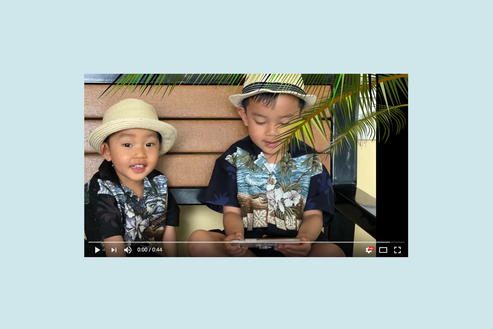 Hawaii Clip